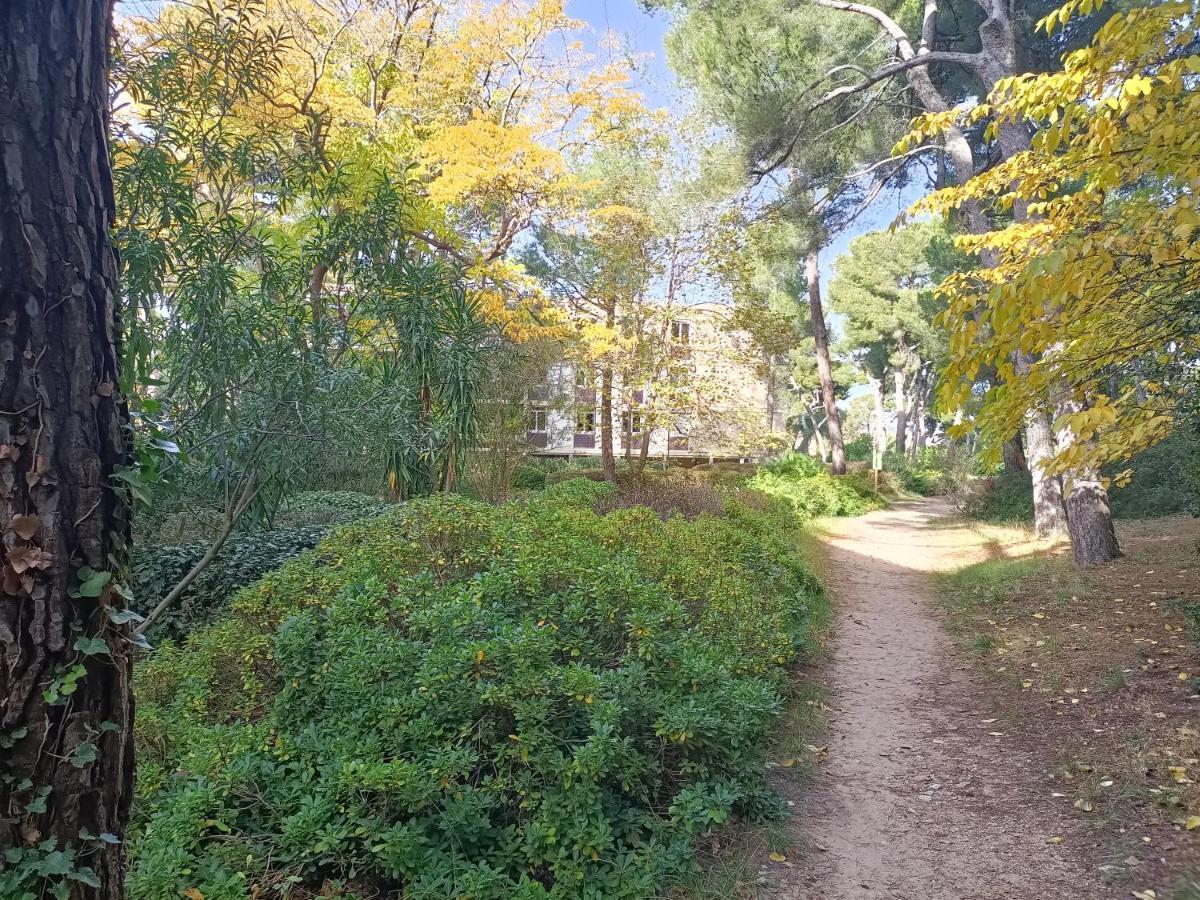 Vue Mer Et Montagne Dans Parc Du Roy D'Espagne, Up To 7 People Marseille Exteriör bild